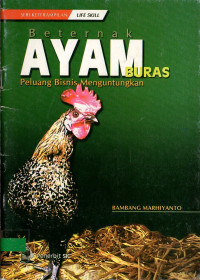 Beternak ayam buras: peluang bisnis menguntungkan
