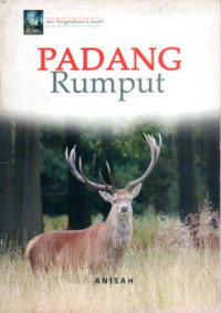 Padang rumput