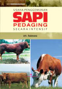 Usaha penggemukan sapi pedaging secara intensif